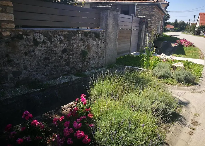Patak Apartman, Diszel