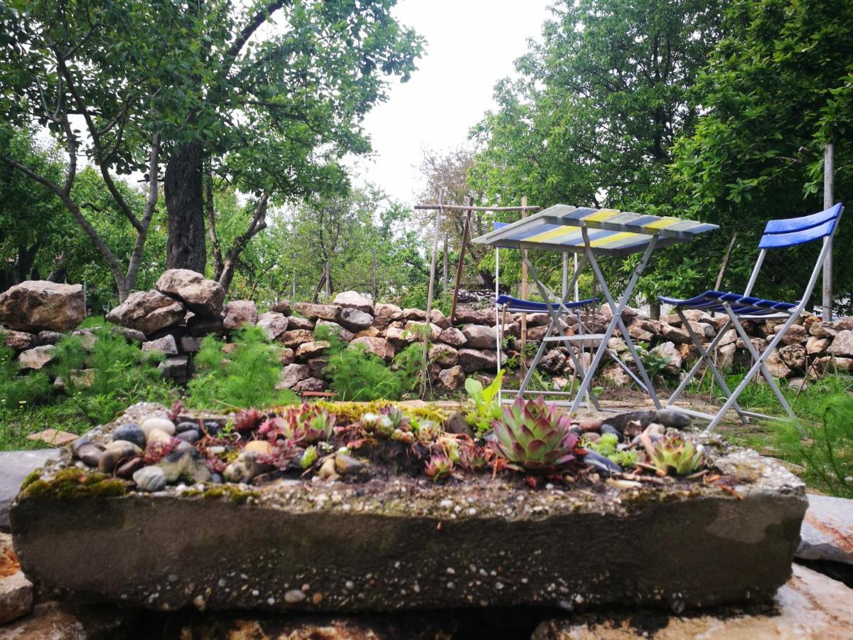 Patak Apartman, Diszel Tapolca