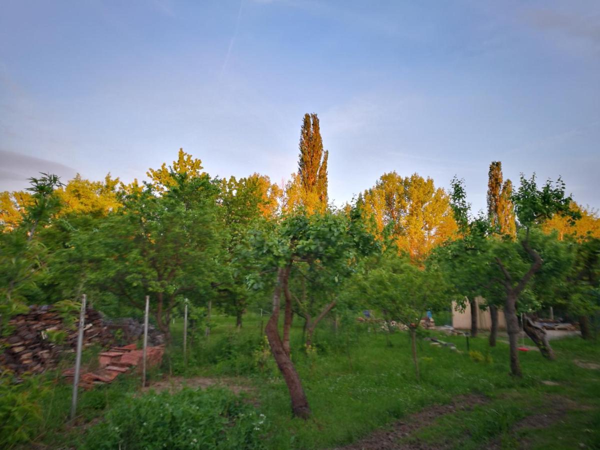 Patak Apartman, Diszel