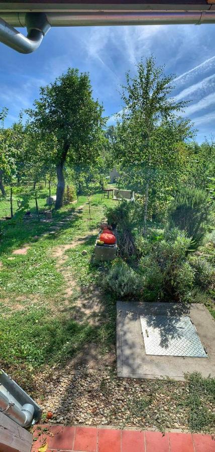 Patak Apartman, Diszel