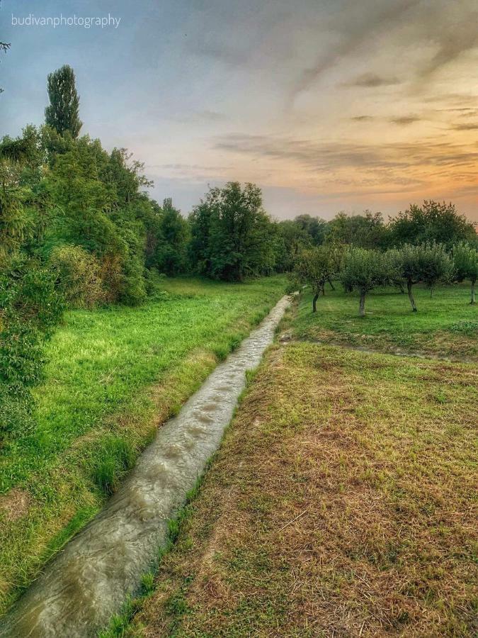 Patak Apartman, Diszel *