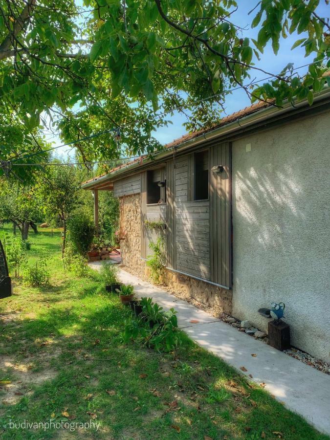 Patak Apartman, Diszel