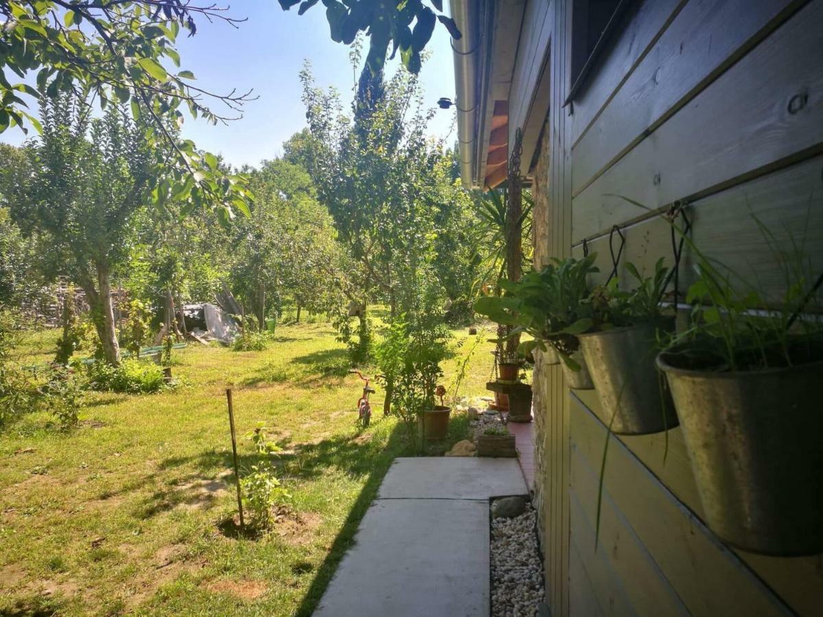 Patak Apartman, Diszel Tapolca