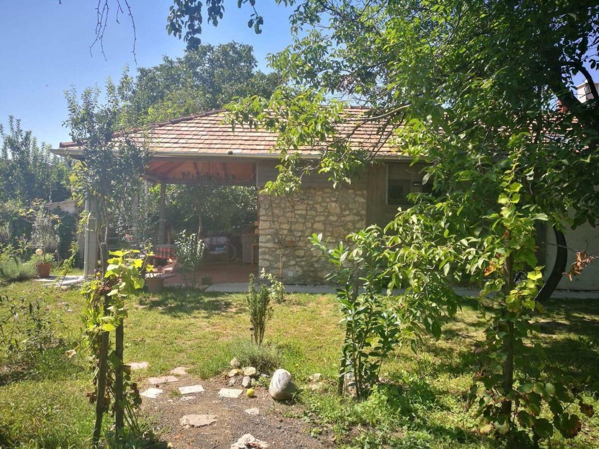 Patak Apartman, Diszel * Tapolca